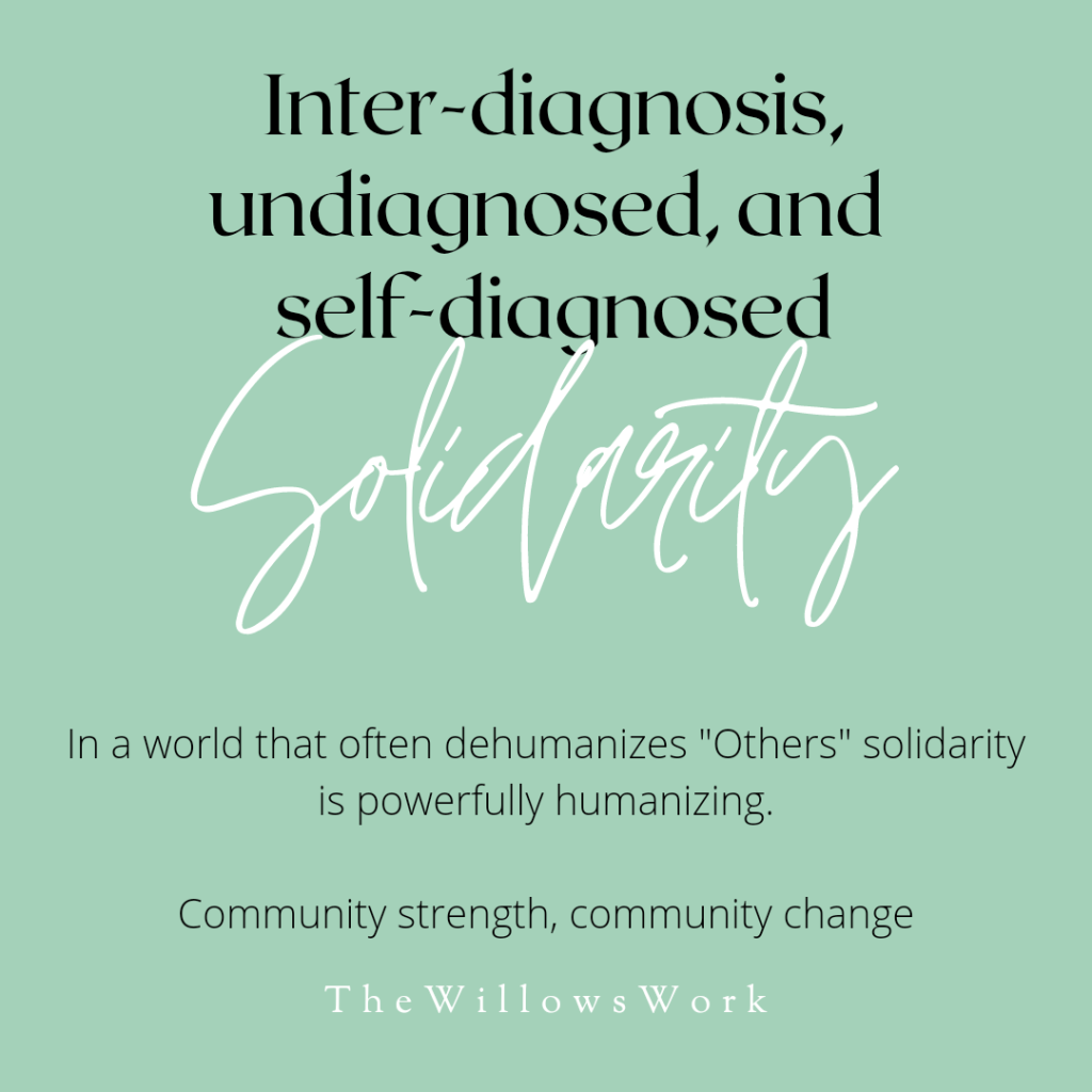 A teal background with black and white text, “Inter-diagnosis, undiagnosed, and self-diagnosed SOLIDARITY. In a world that often dehumanizes “Others” solidarity is powerfully humanizing. Community strength, community change. ⁣